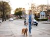 Two people walk a fluffy white dog down a tree-lined path on a sunny day.
