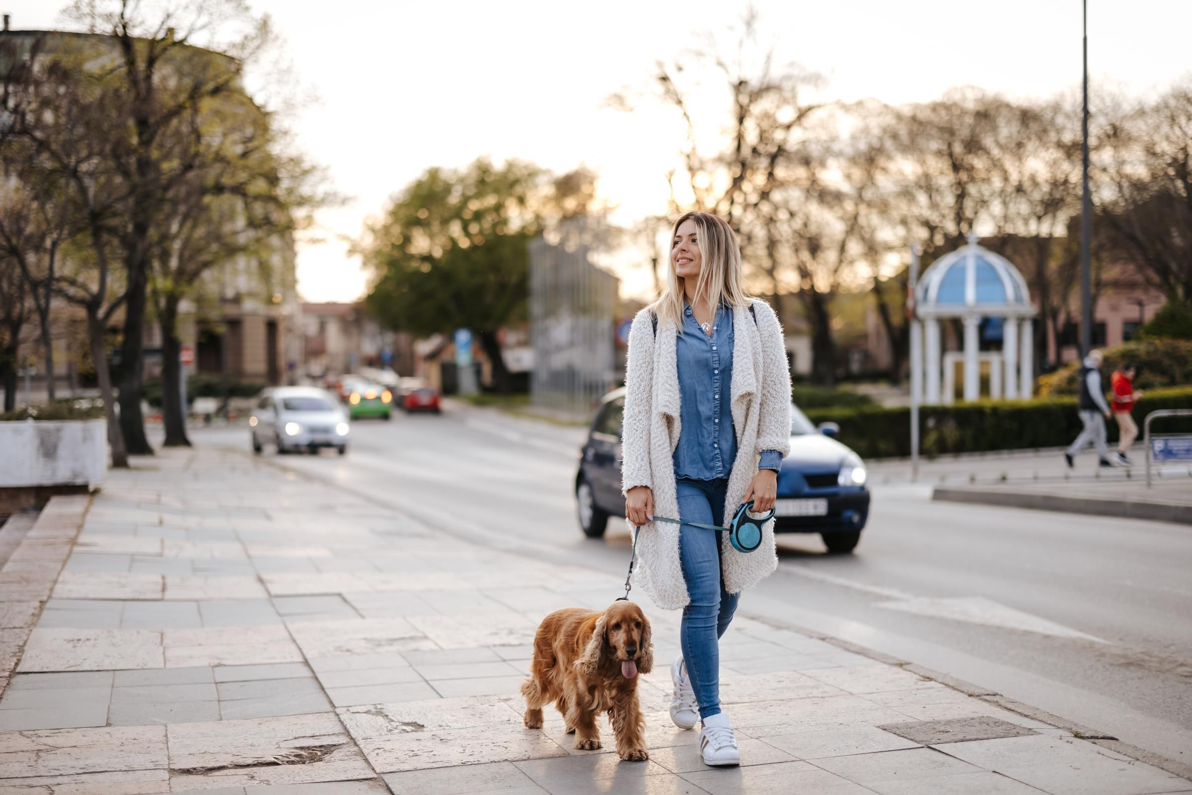 Two people walk a fluffy white dog down a tree-lined path on a sunny day.